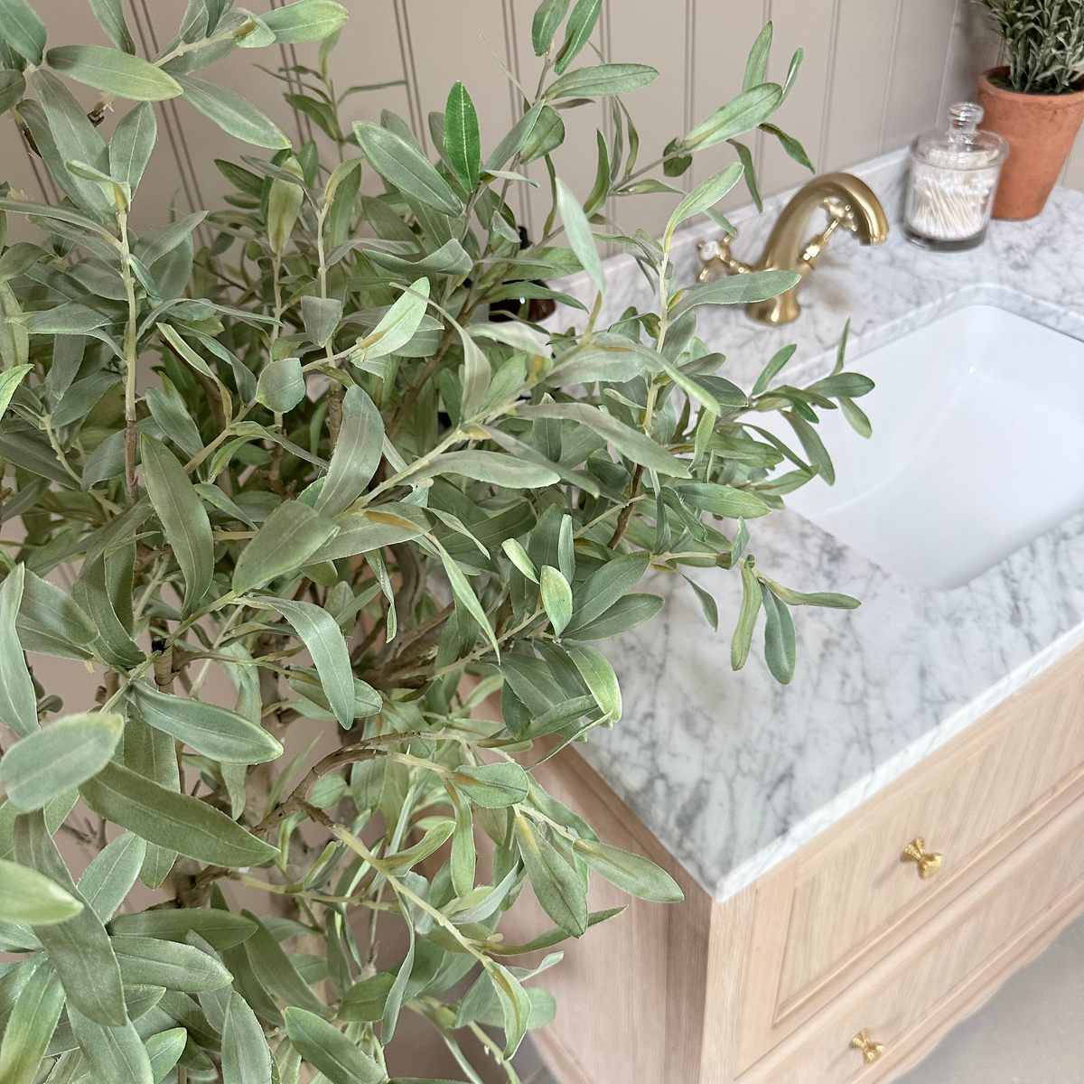 IMG_6393.heic
